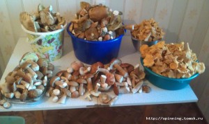 IMAG0556.jpg