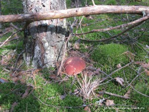 IMG_4099.JPG