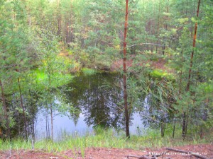 IMG_4172.JPG