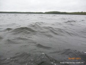 P1020005.JPG