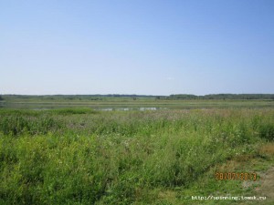 IMG_0583.JPG