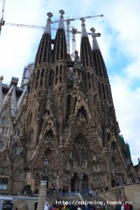 DSC_0233.JPG