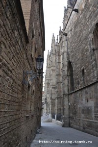 DSC_0443.JPG