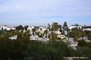 DSC_0620.JPG