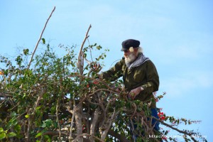 DSC_0678.JPG