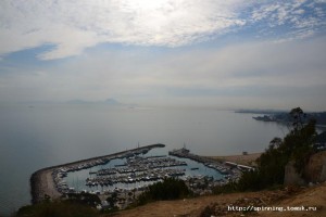 DSC_0659.JPG