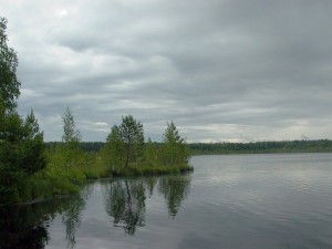06.jpg