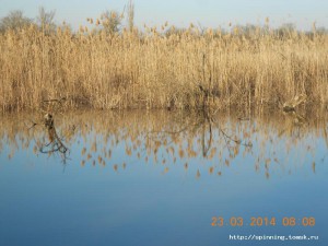 DSCN0986.JPG
