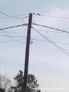 image.jpg