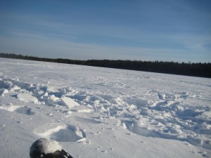 f16522-dc7e19.jpg