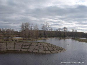 Шегарка1.JPG