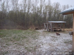 Снег2.JPG
