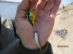 IMG_0446.JPG