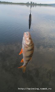 IMAG0218.jpg