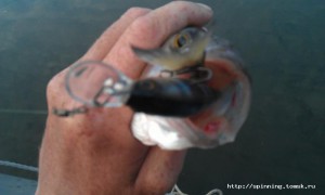 IMAG0219.jpg