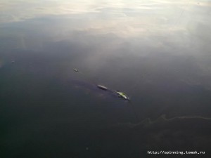 IMG_20140626_050341.jpg