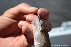 IMG_6434.JPG