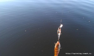 IMAG1618.jpg