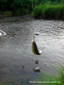 IMG_20140708_205539.jpg