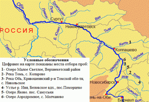 clip_image002.gif