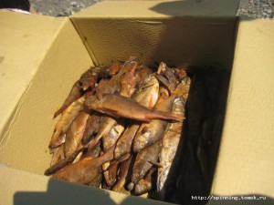 IMG_1117.JPG