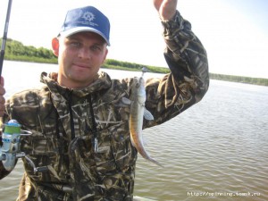 IMG_1126.JPG