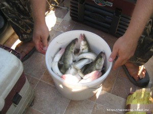 IMG_1131.JPG