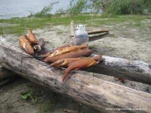 IMG_1143.JPG