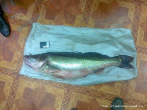 17102011111.jpg