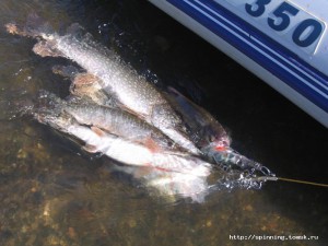 IMG_0212.JPG