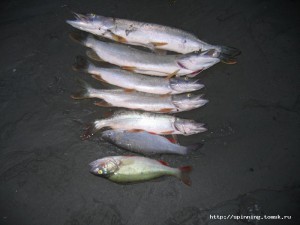IMG_0210.JPG