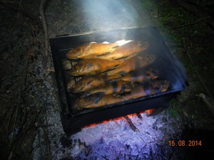 DSCN3852.jpg