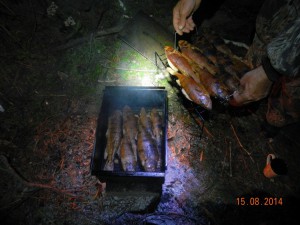 DSCN3855.jpg