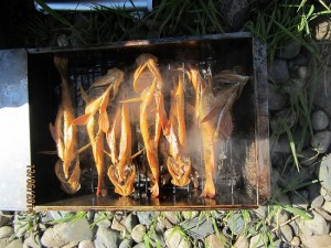IMG_5187.JPG