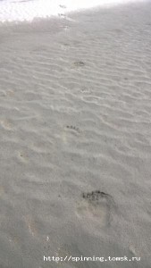 WP_20140809_021.jpg