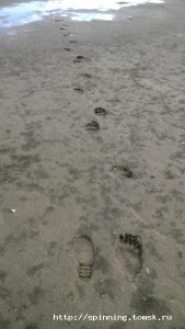 WP_20140809_023.jpg
