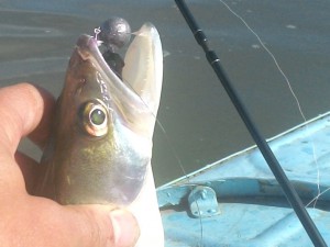 IMG_20140821_112002_806.jpg