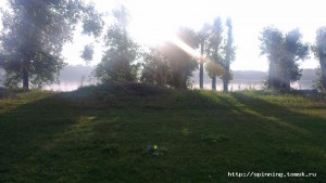 IMAG0216.jpg