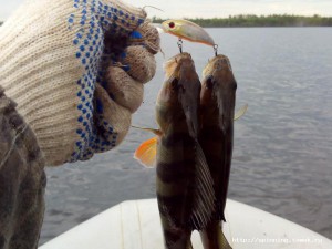 IMG_20140823_100623.jpg