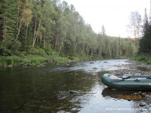 IMG_5466.JPG