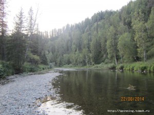IMG_5467.JPG