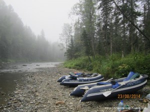 IMG_5485.JPG