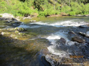 IMG_5510.JPG