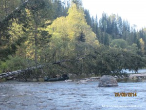 IMG_5529.JPG