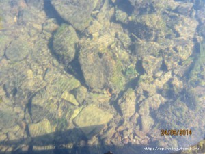 IMG_5558.JPG