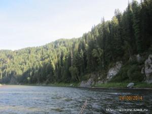 IMG_5559.JPG