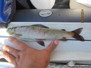 IMG_5563.JPG