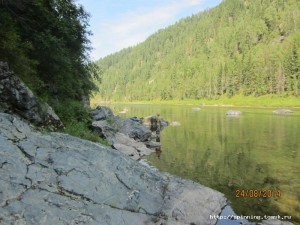 IMG_5572.JPG