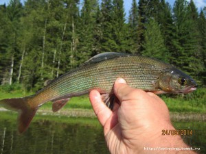 IMG_5578.JPG