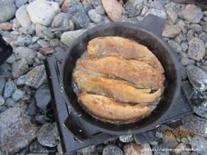 IMG_5591.JPG